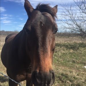 Meet your Posher, Skylee